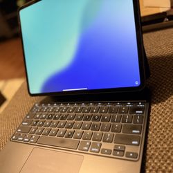 iPad Pro 13 M4 (WiFi + Cellular)