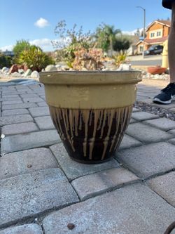 Flower pot