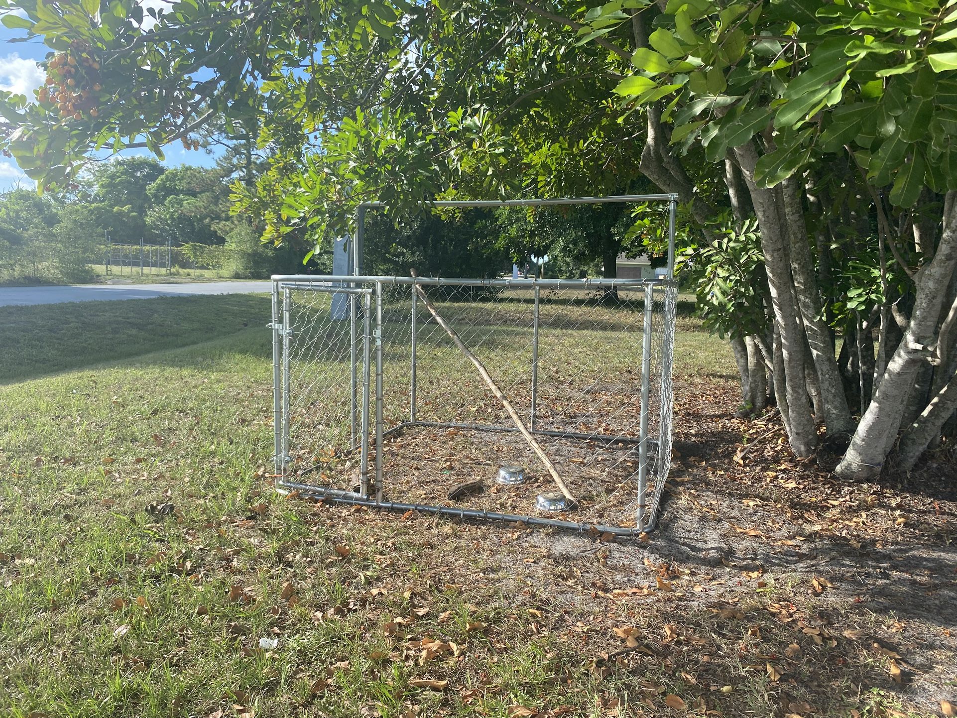 Large Dog Kennel