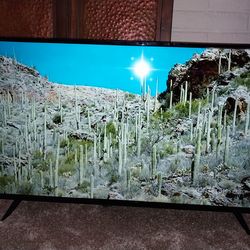 Vizio 48" smart tv