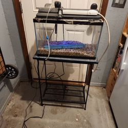 10 Gallon Fish Tank And Stand