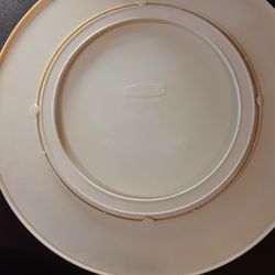 Vintage Rubbermaid Lazy Sudan 16 Inch