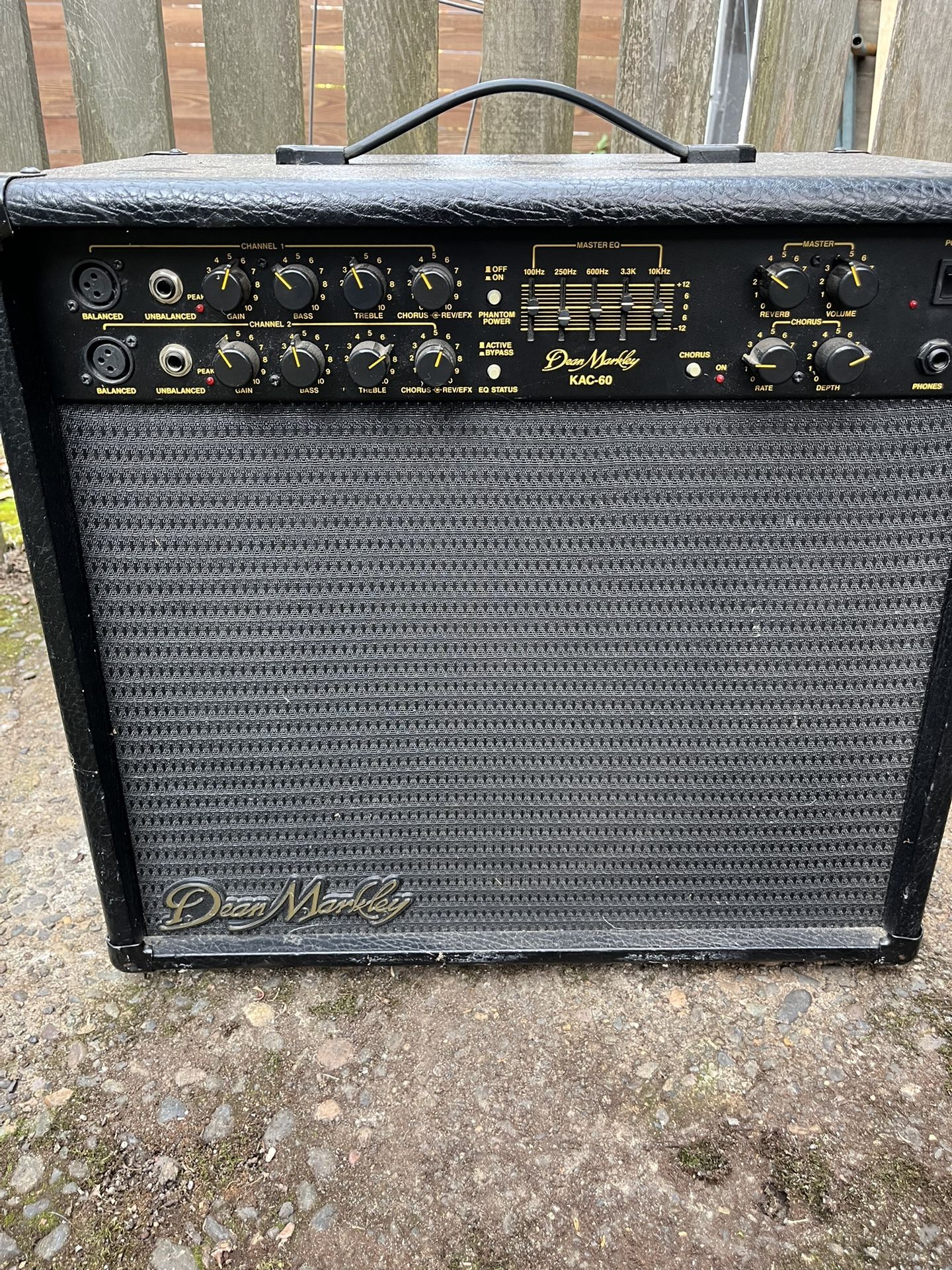 Acoustic guitar amp
