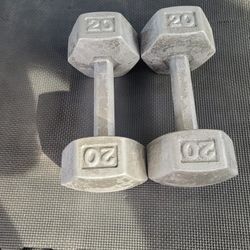 20lbs Dumbells Weights 