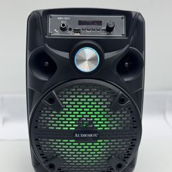 1100W 8” Party Speaker w/ FREE Mic and tripod