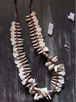 Buffalo tooth necklace