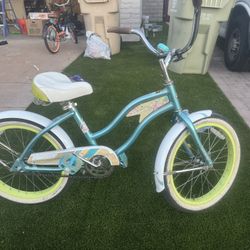 20 Inch Cruiser 