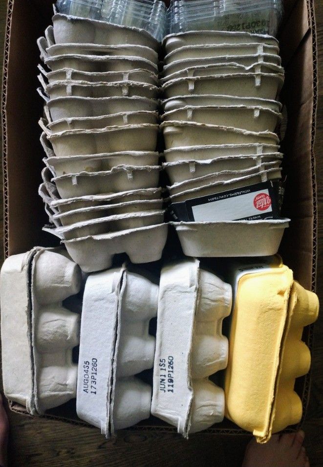 Trade 18 Egg Cartons For 1Dozen Local Free Range Brown Eggs
