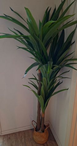 Dracaena 6ft Tall Large Faux Indoor Floor Plant