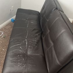 Bed Couch 