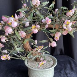 Vintage Chinese Peking Glass Jade Bonsai Tree In Celadon Planter, Glass  Jade Bonsai Tree, Glass Bonsai, Peking Glass , Vintage Chinese Bunsai for  Sale in Las Vegas, NV - OfferUp