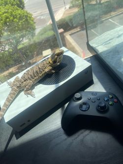 Microsoft Xbox Series S Console