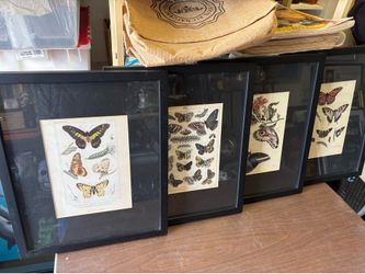 (4) BEAUTIFUL WOOD FRAMED BUTTERFLYy PICTURES !  🦋🦋 ALL FOUR PIECES FOR ONE TOTAL PRICE - DEAL ! REDUCED FOR FAST SALE - FIRST COM