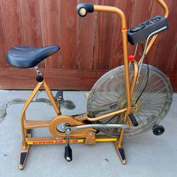 VINTAGE SHWINN AIR DYNE Excercises Bike