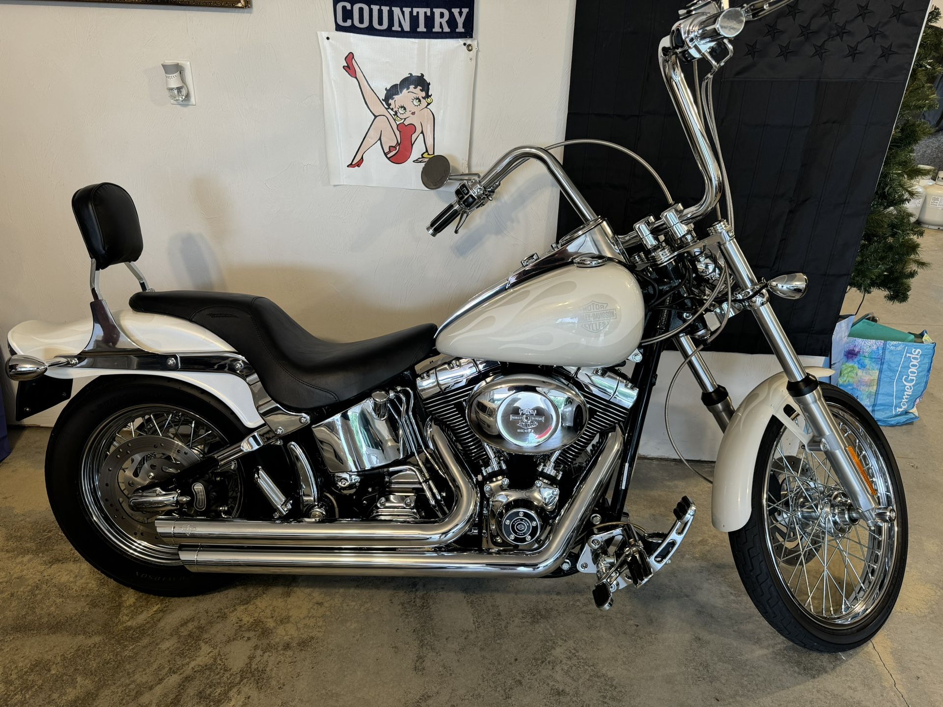 2003 Harley Davidson $9000  Mint Condition