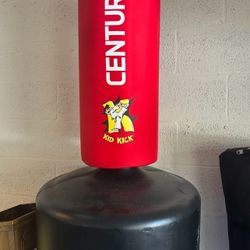 Century Youth Punching Bag