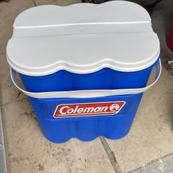 Fuel Container Safety To Carry and 2 Bottles 