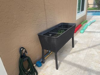 Standing vegetable garden