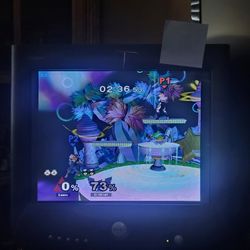 Dell Trinitron Crt Monitor