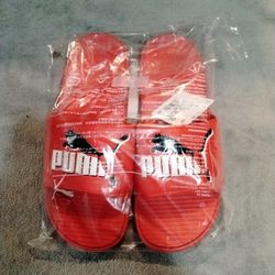 Puma Flip Flops