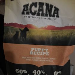 Acana (puppy)
