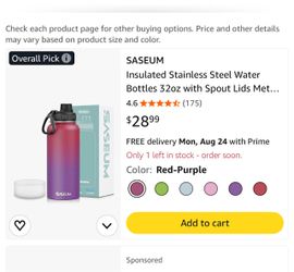 Insulated Water Bottle Pink Purple Ombre