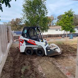 Bobcat 