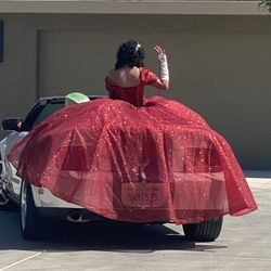 Quinceañera Ball Gown/ Vestido Quinceañera 