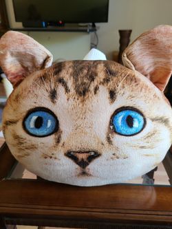 Cat Pillow