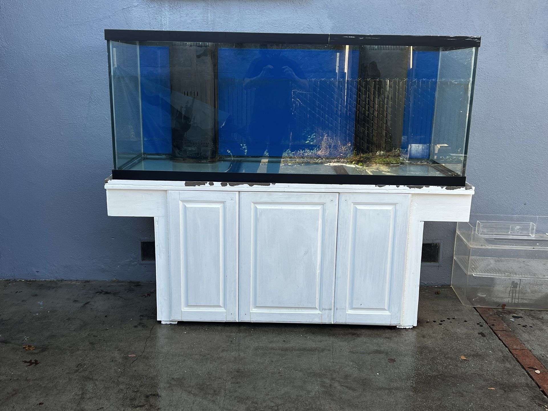 210 Gallon Aquarium