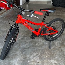 Giant xtc jr20 Kids Bike