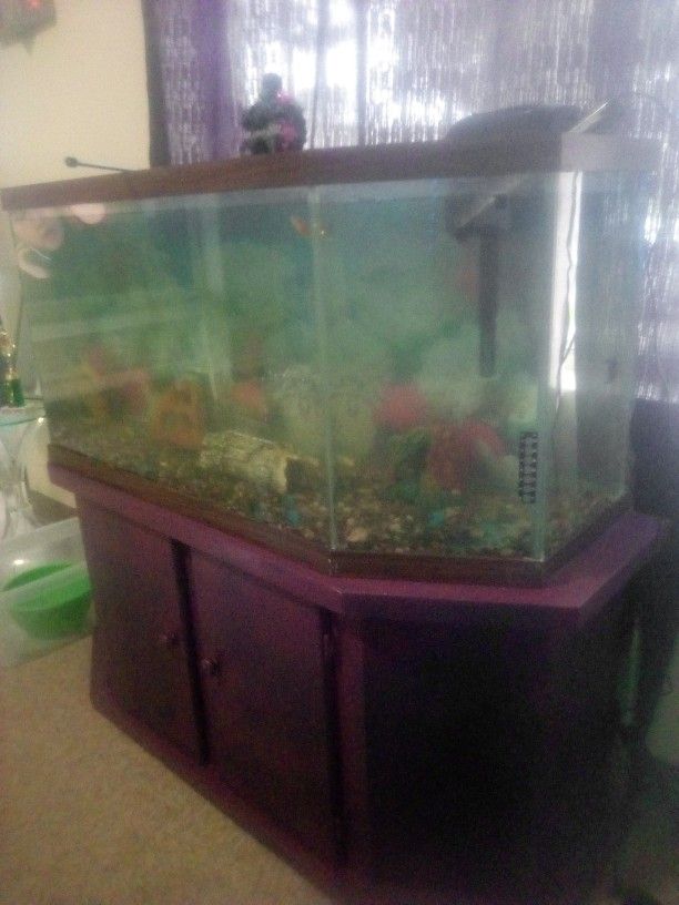 Fish Tank