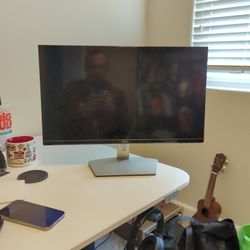 Dell Computer Monitor 