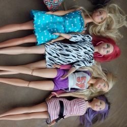 Bag Of Barbie Dolls And Accesories