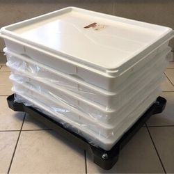 🍕 6 Commercial Dough Box Set + Lid w/ Heavy-Duty Dolly — NEW / Never Used