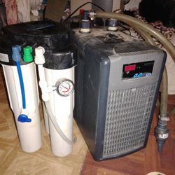 Aquarium Products , Ponds , Fish