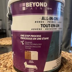 Beyond Paint Sage Green 