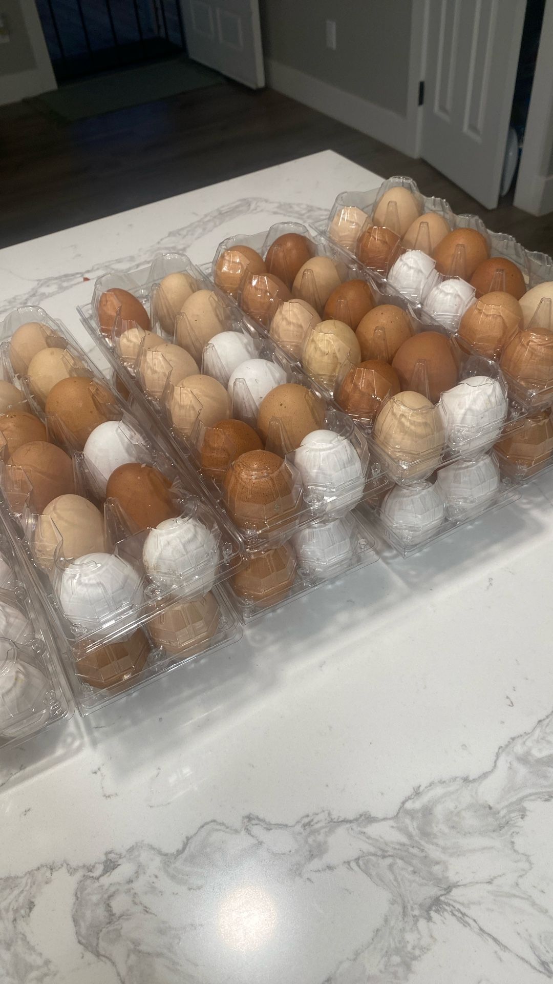 Farm Fresh Eggs