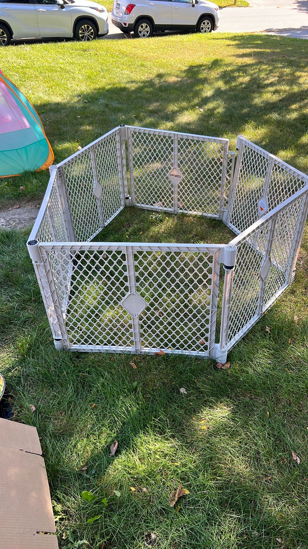 Dog Gate
