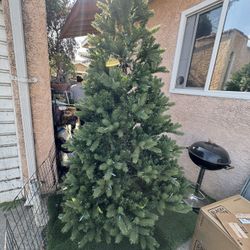 Christmas Tree Big 