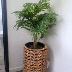 Decorative Indoor Plants w/ Modern Planters-  $35 
