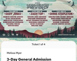 3- 3 day passes /under the big blue sky