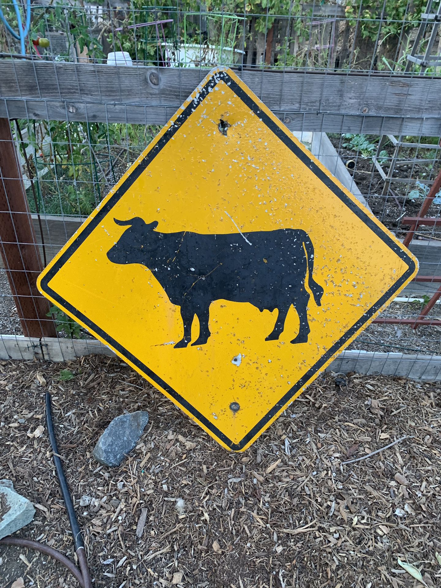 Street grade cattle crossing sign