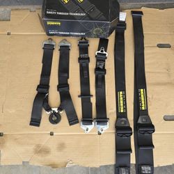 Schroth 6 Point Harness (Blk)