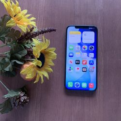 iPhone 12 Pro Max (512gb ) Unlocked Gray color