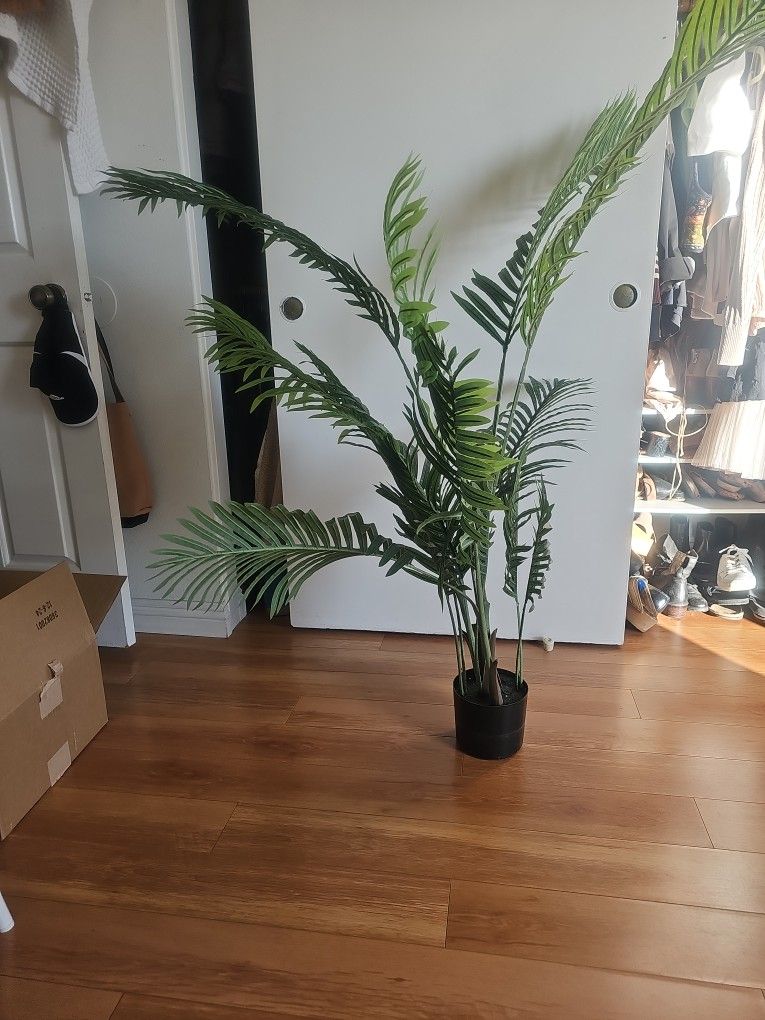 fake plant 
