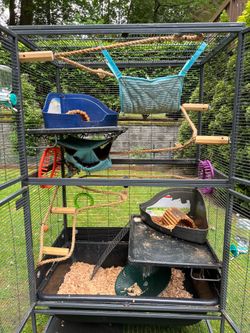 Critter Nation Double Cage