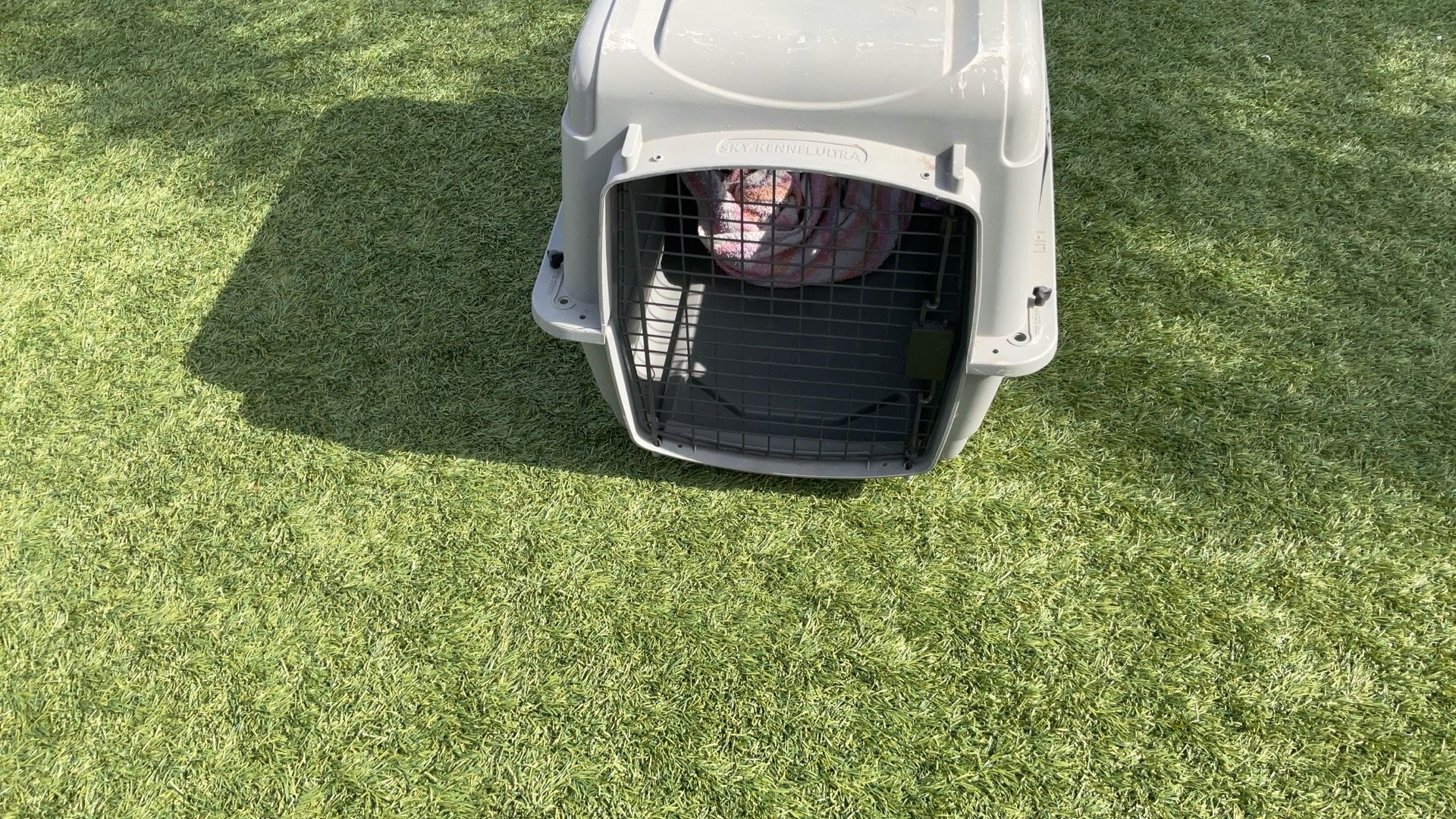 Small Pet Kennel