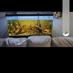 Complete Fish Tank 