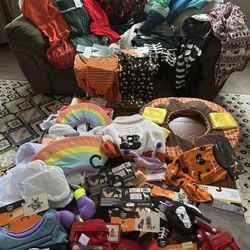 Halloween Winter And Christmas Dog Costumes